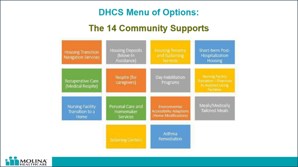 DHCS menu of options the 14 community supports