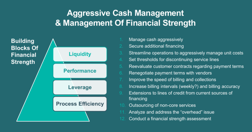 Leading Through Volatility: A 12-Step Framework For Strategic Cash ...